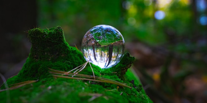 苔の生えた切り株に乗る水晶玉